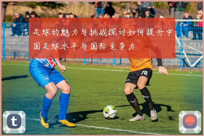足球的魅力与挑战探讨如何提升中国足球水平与国际竞争力