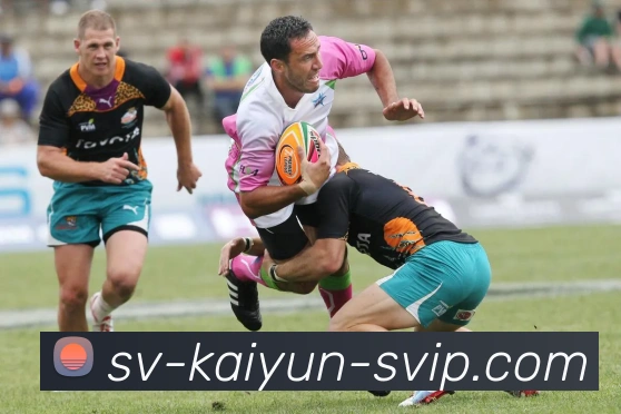 开云官网平台生态图