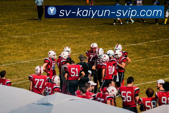 开云官网全站App